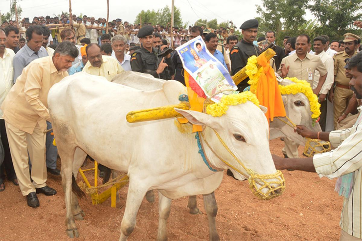 CM reaffirms support to farmers